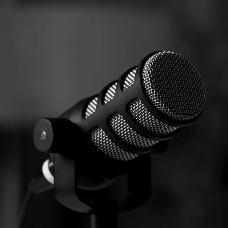 LES MICROS ET LA PRISE DE SON