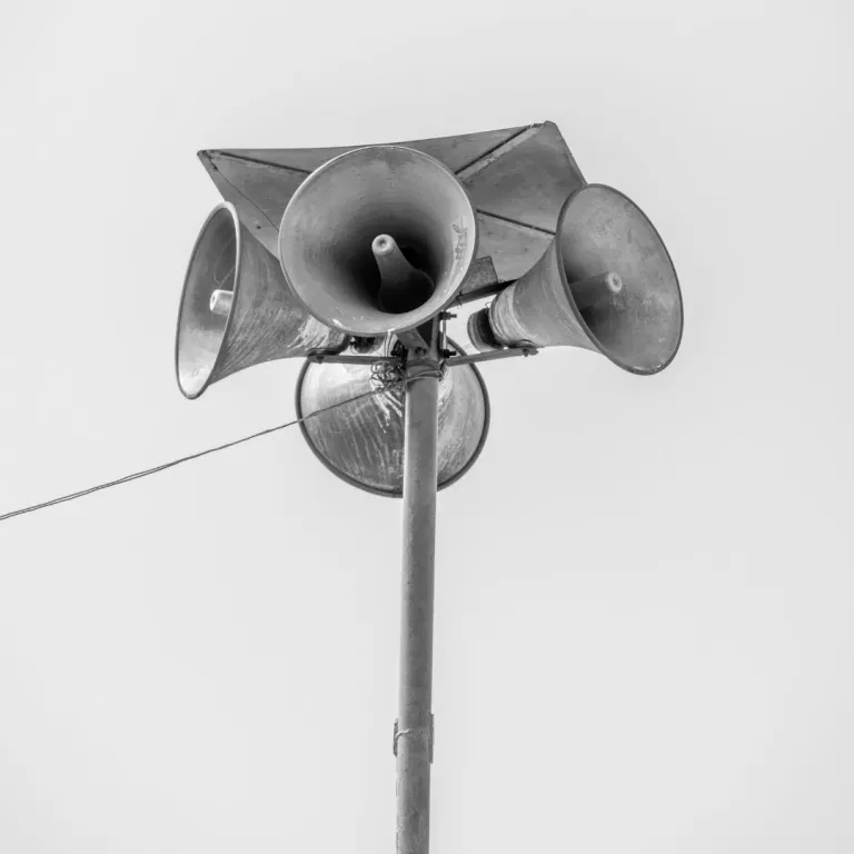 LES 4 MÉCANISMES DE LA VOIX