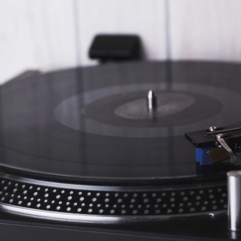 Conférence sur le vinyle